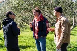 Dubrovnik: Oyster, Mussles, and Wine Tasting Tour in Ston