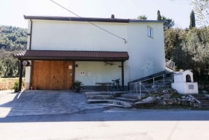 Dubrovnik: Oyster, Mussles, and Wine Tasting Tour in Ston