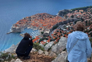 Dubrovnik Panorama Sightseeing with Tour Guide in Minivan