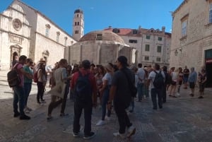 Dubrovnik: Panoramic Ride and Old Town Guided Walking Tour