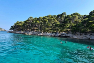 Dubrovnik: Private Boat Rental for Parties & Alcohol