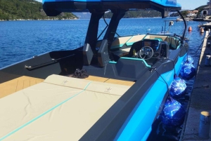 ドゥブロヴニク：スキッパー付きプライベートボートツアー