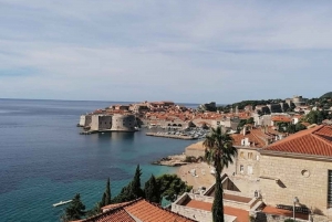 Dubrovnik: Private City Panorama Tour