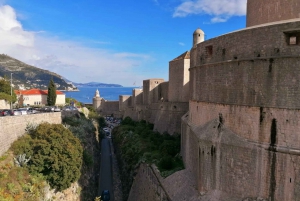 Dubrovnik: Private City Panorama Tour