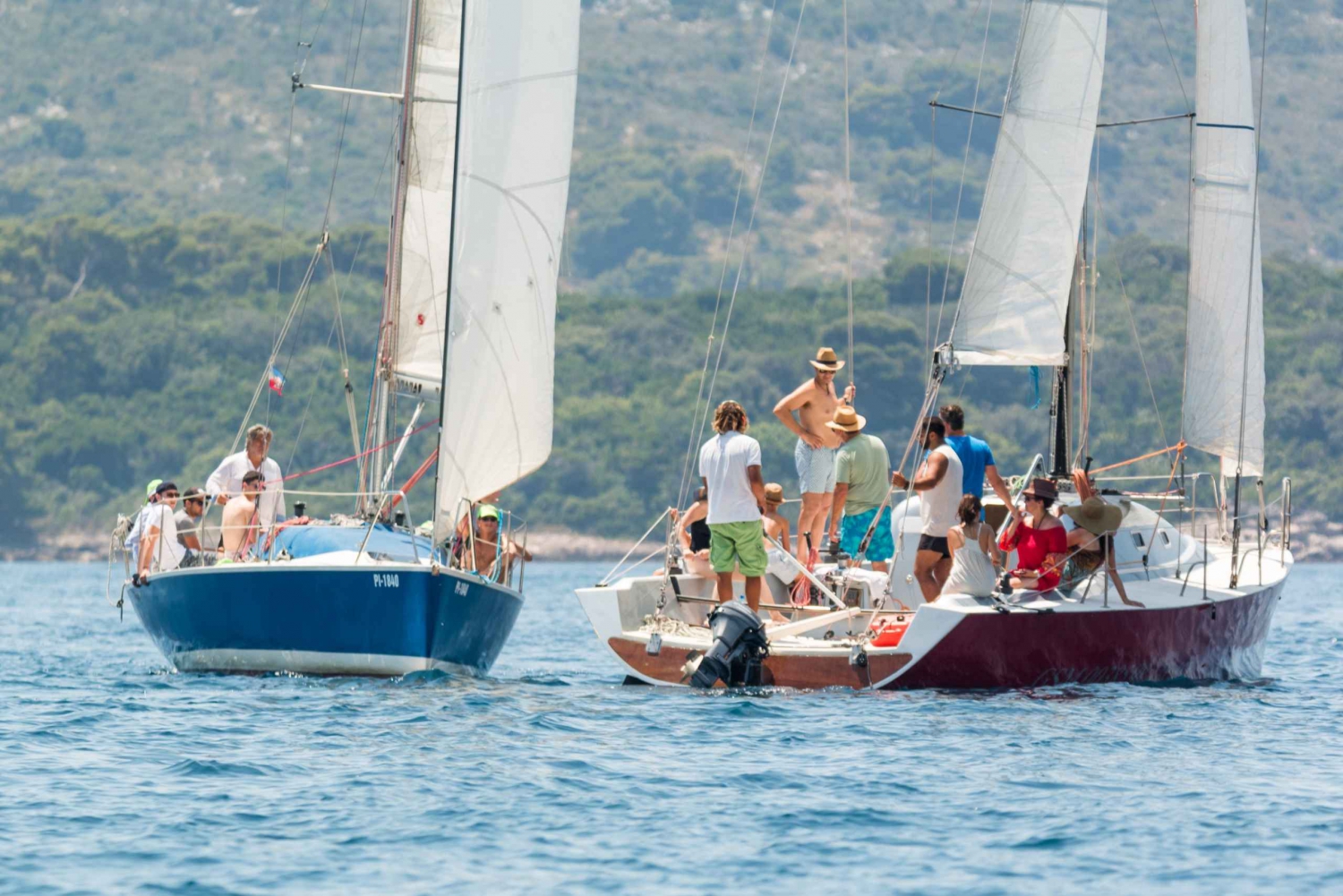 Dubrovnik: Privat segeltur till Elaphitiöarna