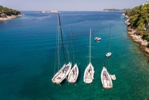 Dubrovnik: Privat segeltur till Elaphitiöarna