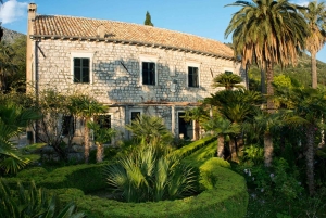 Dubrovnik: Private Tour Arboretum Trsteno & Viewpoint Wine