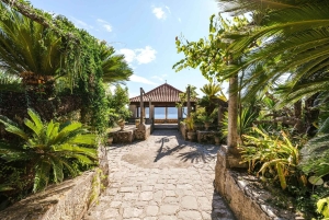 Dubrovnik: Private Tour Arboretum Trsteno & Viewpoint Wine