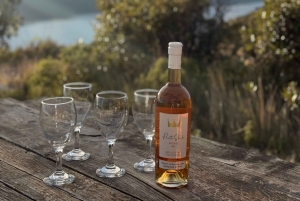 Dubrovnik: Private Tour Arboretum Trsteno & Viewpoint Wine