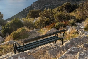 Dubrovnik: Private Tour Arboretum Trsteno & Viewpoint Wine