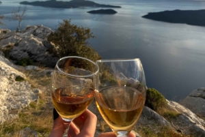 Dubrovnik: Private Tour Arboretum Trsteno & Viewpoint Wine