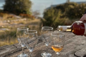 Dubrovnik: Private Tour Arboretum Trsteno & Viewpoint Wine