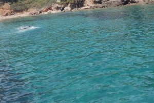 Dubrovnik - Dagtocht met de jacht naar de Elafiti-eilanden en de Blauwe Grot