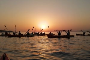 Dubrovnik: Dia de caiaque no mar ou passeio ao pôr do sol