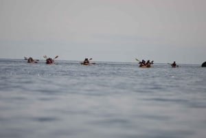 Dubrovnik: Sea Kayaking&Snorkelling Guided Day/Sunset Tours
