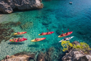 Dubrovnik: Excursiones guiadas de kayak de mar y snorkel de un día o al atardecer