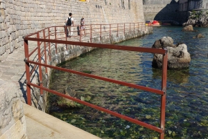 Dubrovnik: Excursiones guiadas de kayak de mar y snorkel de un día o al atardecer