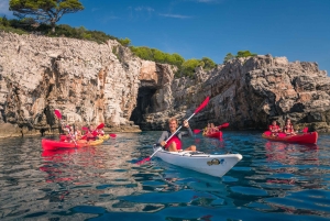 Dubrovnik: Excursiones guiadas de kayak de mar y snorkel de un día o al atardecer