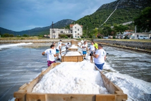 Dubrovnik: privat gastronomisk tur i Ston og dronefotografering