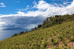 Dubrovnik: privat gastronomisk tur i Ston og dronefotografering