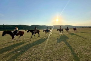 Dubrovnik: Sunset Horseback Ride with Transfers