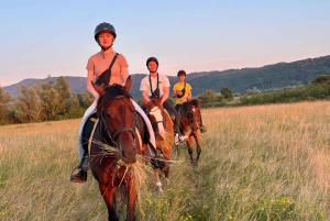 Dubrovnik: Sunset Horseback Ride with Transfers