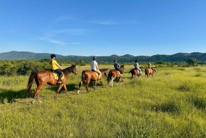 Dubrovnik: Sunset Horseback Ride with Transfers