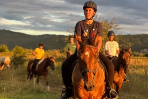Dubrovnik: Sunset Horseback Ride with Transfers