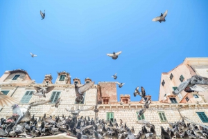 Dubrovnik: The Ultimate Game of Thrones Tour