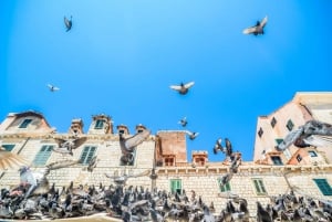 Dubrovnik: Die ultimative Game of Thrones Tour