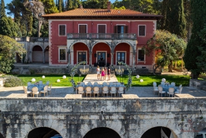 Cavtat: Ticket für die Banac Galerie mit Van Goghs Sonnenblumen