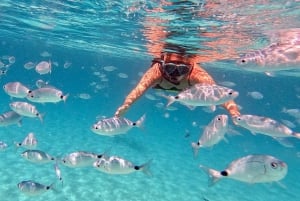 Zadar: Dugi Otok Island Discovery Day Trip with Snorkeling