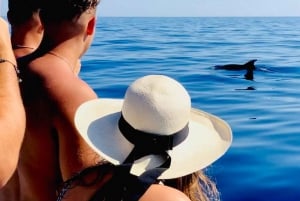 Zadar: Dugi Otok Island Discovery Day Trip with Snorkeling