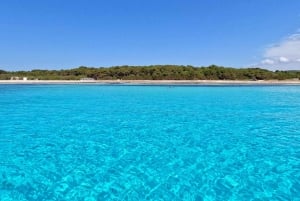 Zadar: Dugi Otok Island Discovery Day Trip with Snorkeling