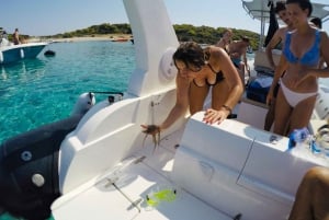 Zadar: Dugi Otok Island Discovery Day Trip with Snorkeling