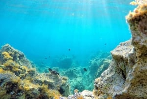 Zadar: Dugi Otok Island Discovery Day Trip with Snorkeling