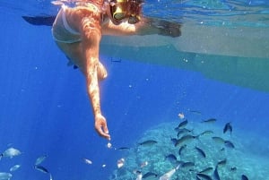 Zadar: Dugi Otok Island Discovery Day Trip with Snorkeling