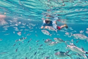Zadar: Dugi Otok Island Discovery Day Trip with Snorkeling