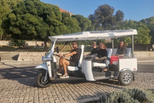 Eco tuk tuk Hoogtepunten van Zadar