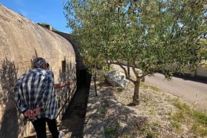Eco tuk tuk Hoogtepunten van Zadar