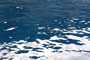 Elaphite Islands Cruise en Blue Cave Snorkeling Boot Tour