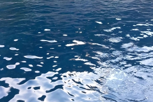 Elaphite Islands Cruise en Blue Cave Snorkeling Boot Tour