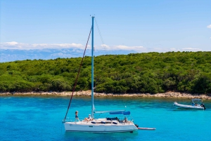 Elegant Day-Sailing Tour-Lunch&Drinks included