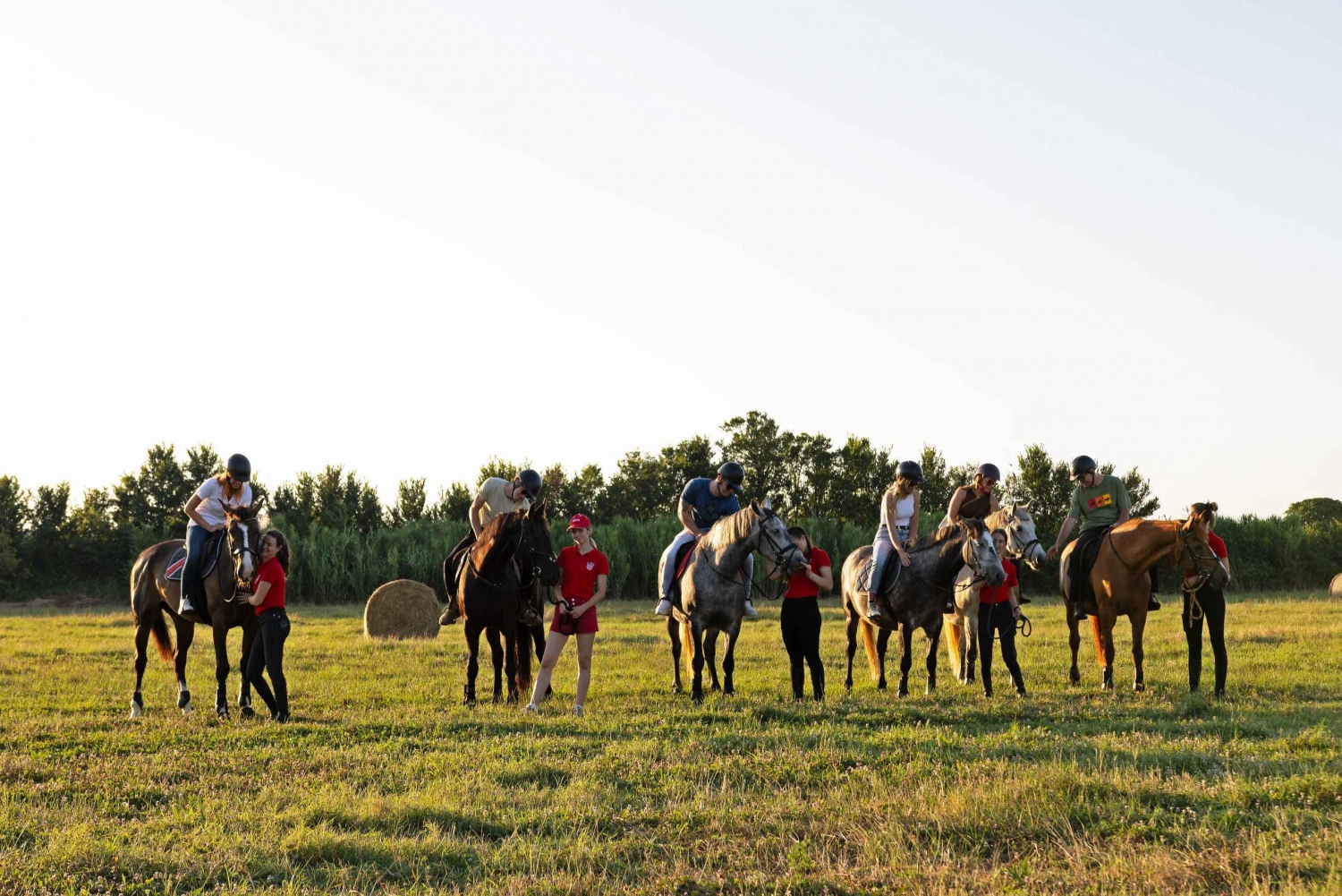 Fazana: Sunset 1-hour Horse Riding in Nature with Guide
