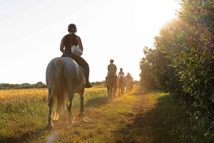Fazana: Sunset 1-hour Horse Riding in Nature with Guide