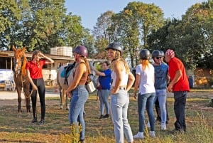 Fazana: Sunset 1-hour Horse Riding in Nature with Guide