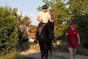 Fazana: Sunset 1-hour Horse Riding in Nature with Guide