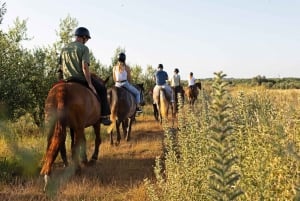 Fazana: Sunset 1-hour Horse Riding in Nature with Guide