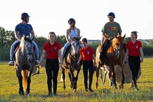 Fazana: Sunset 1-hour Horse Riding in Nature with Guide