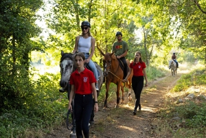 Fazana: Sunset 1-hour Horse Riding in Nature with Guide